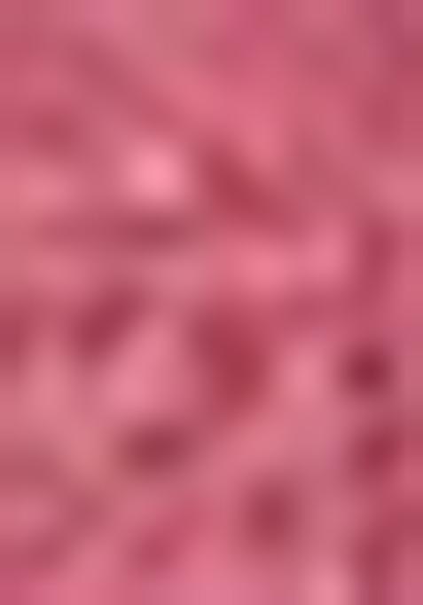 Wine Zari Woven Organza Saree Set