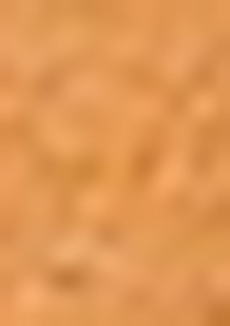 Yellow Zari Woven Organza Saree Set