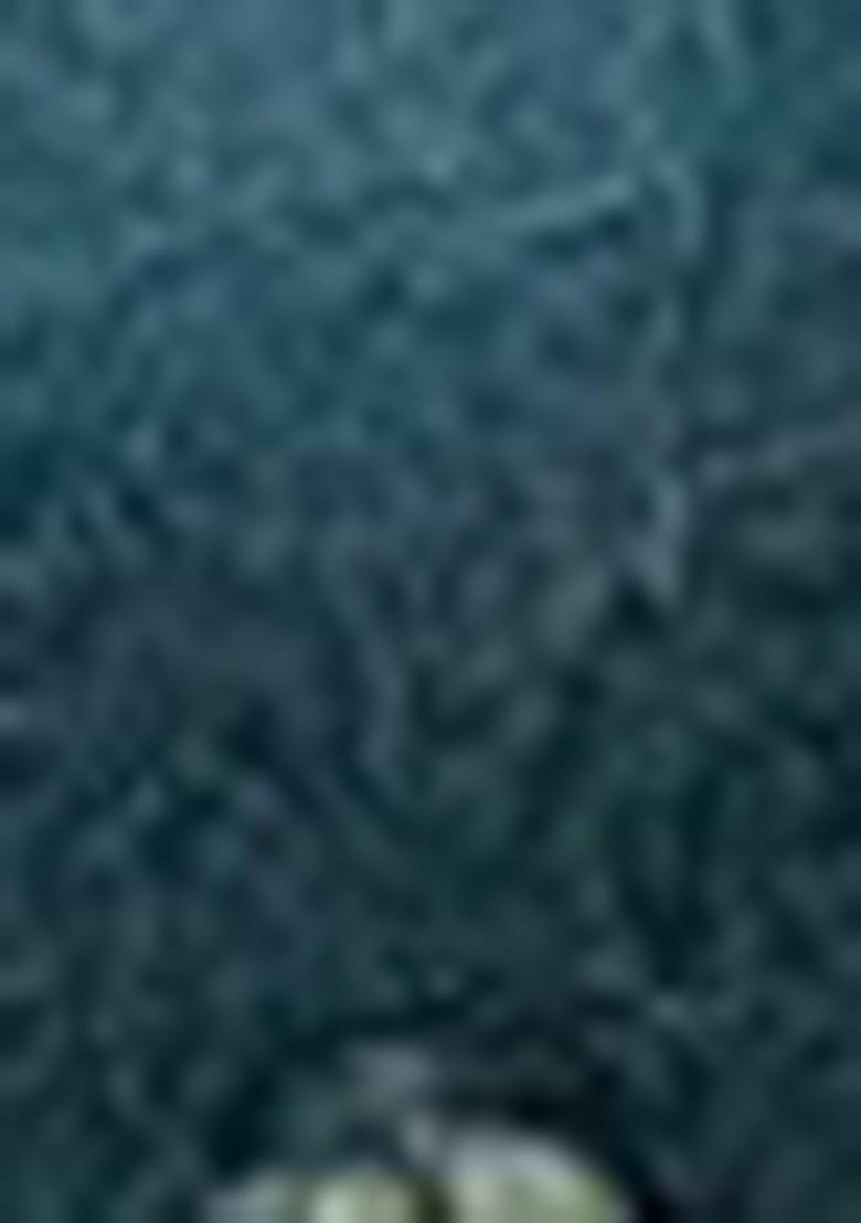 Teal Sequin Work Art Silk Saree Set