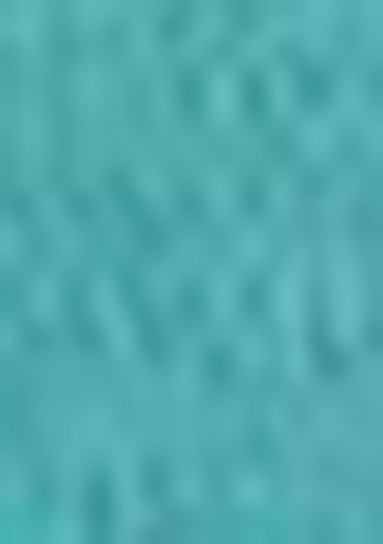 Blue Embroidered Net Saree Set