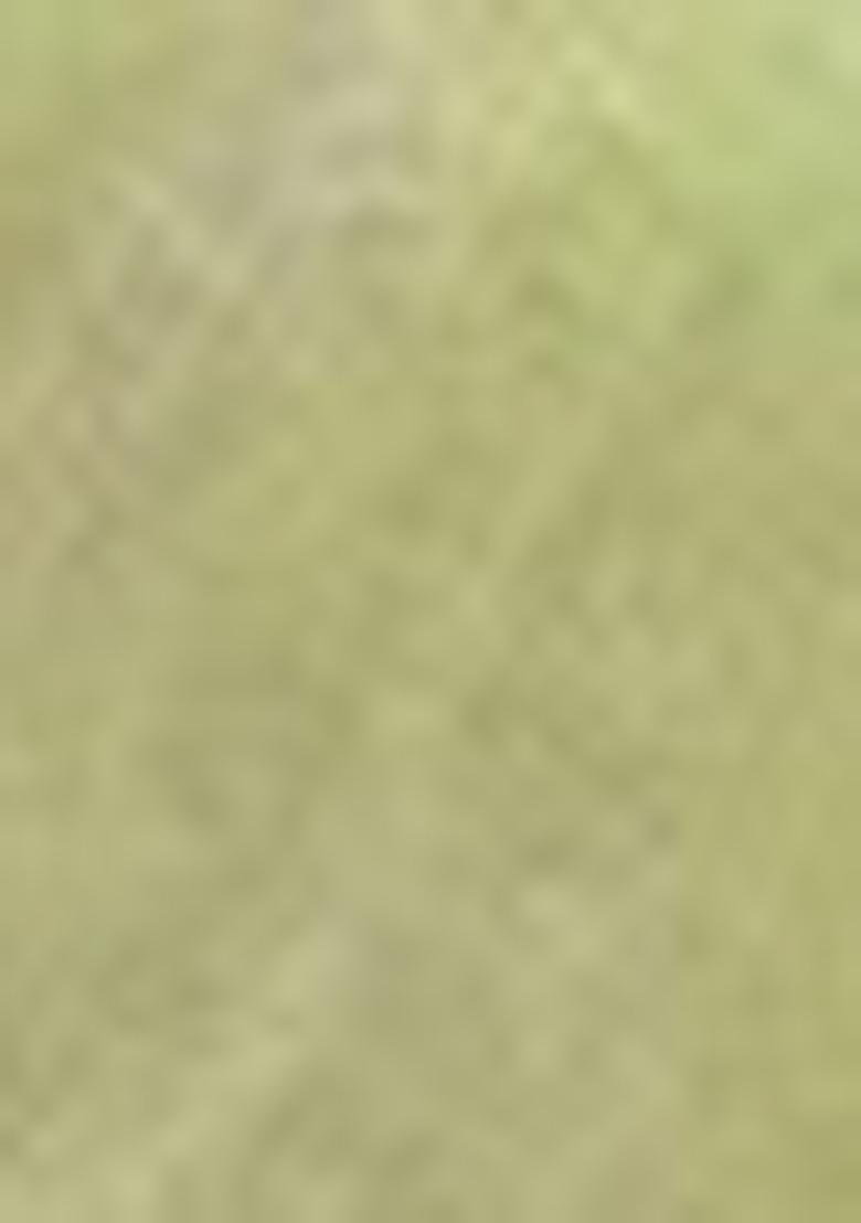 Green Embroidered Art Silk Saree Set