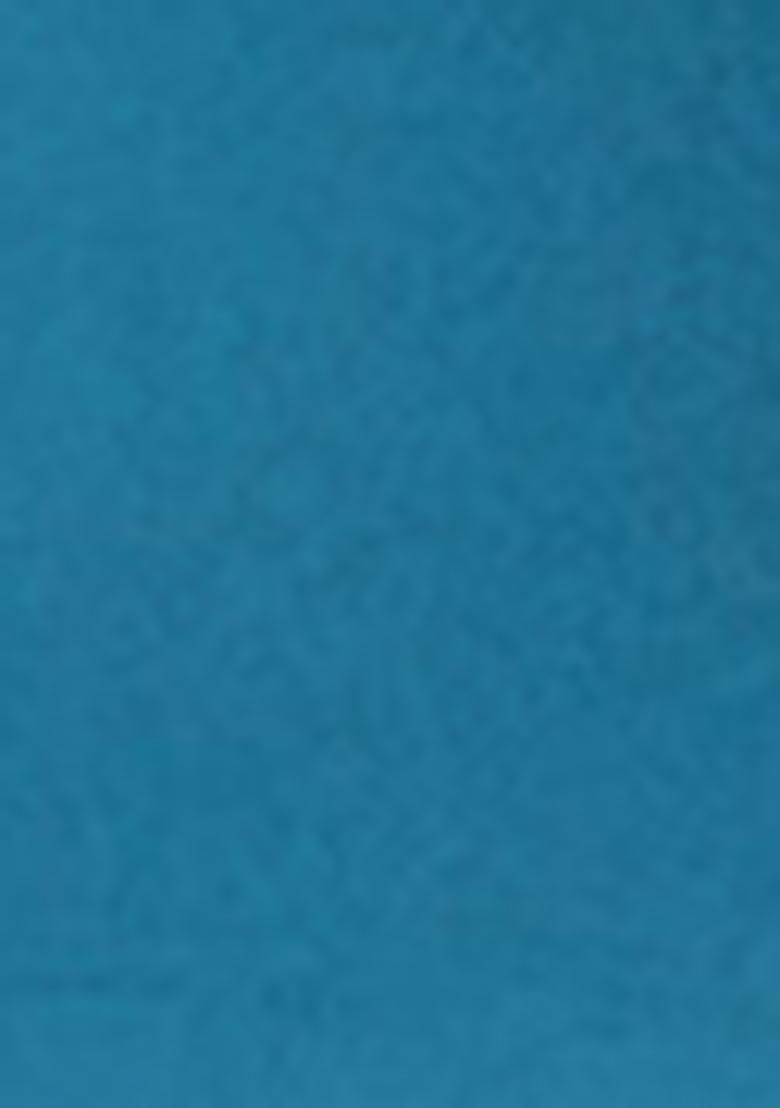 Blue Zari Woven Art Silk Saree Set