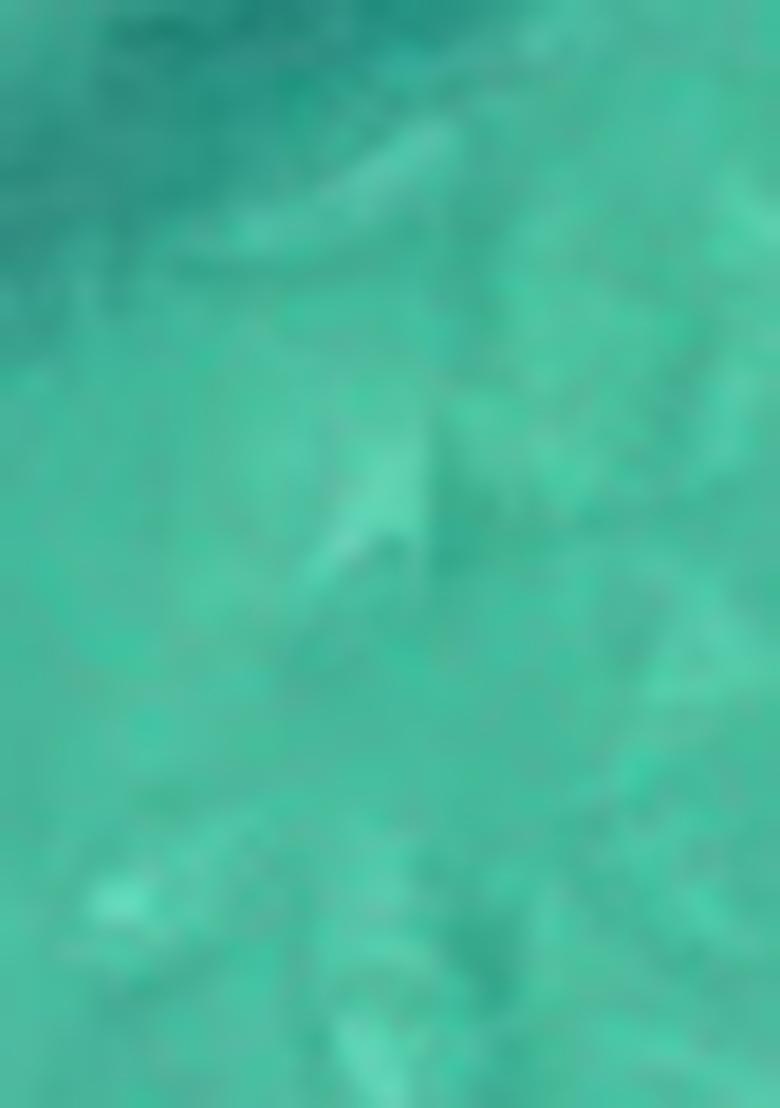 Blue Zari Woven Art Silk Saree Set