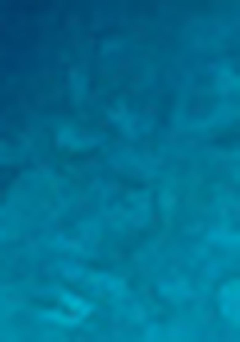 Blue Zari Woven Art Silk Saree Set