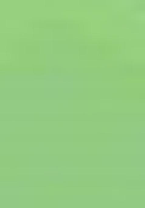 Green Embroidered Organza Saree Set