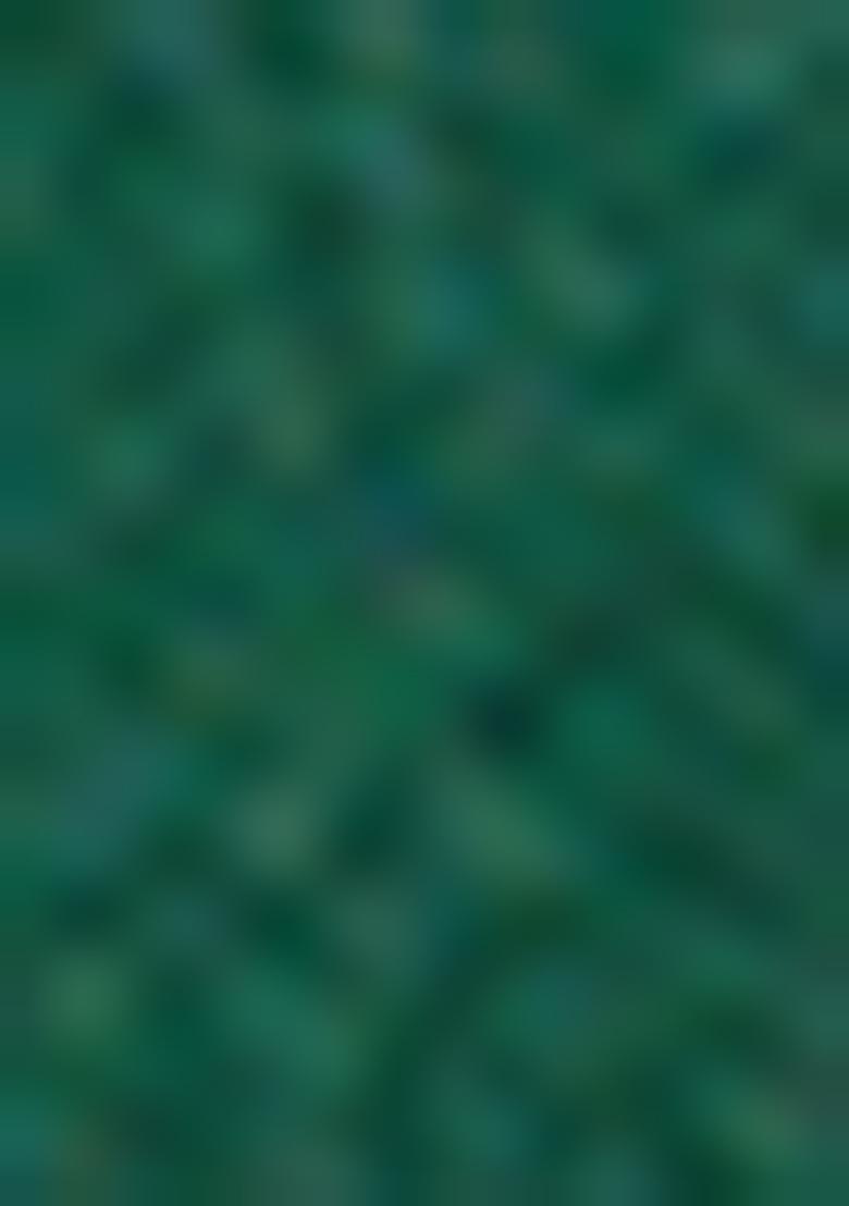 Green Embroidered Art Silk Saree Set