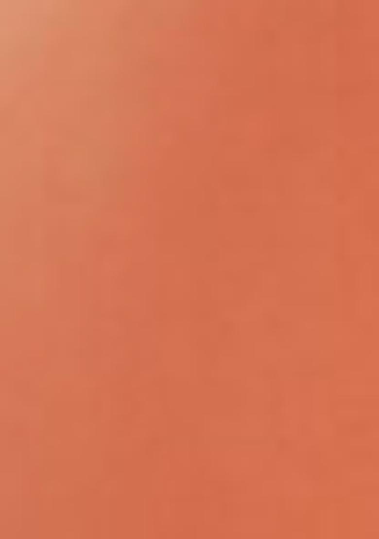 Orange Sequin Work Georgette Saree Set