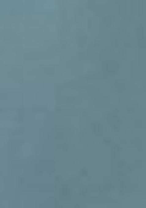 Blue Sequin Work Georgette Saree Set