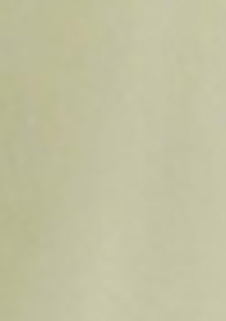 Green Sequin Work Net Saree Set