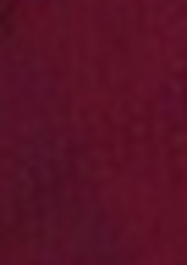 Wine Sequin Work Net Saree Set