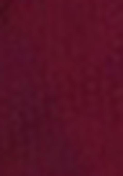 Wine Sequin Work Net Saree Set