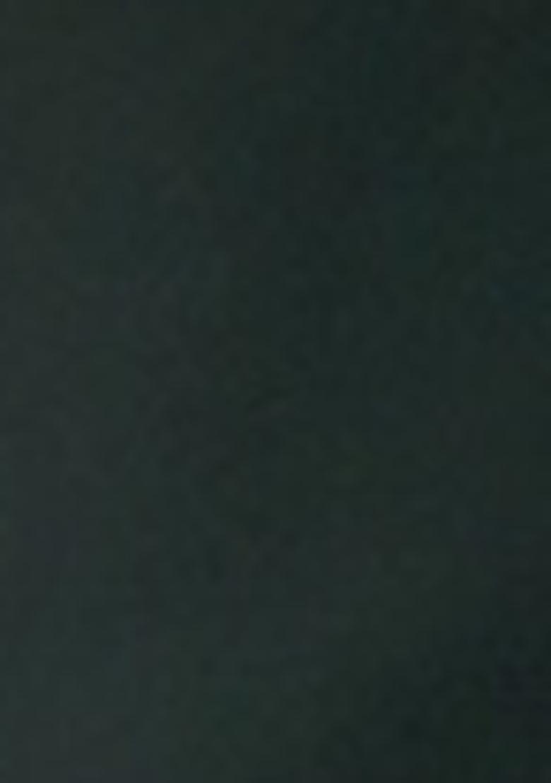 Green Sequin Work Chiffon Saree Set