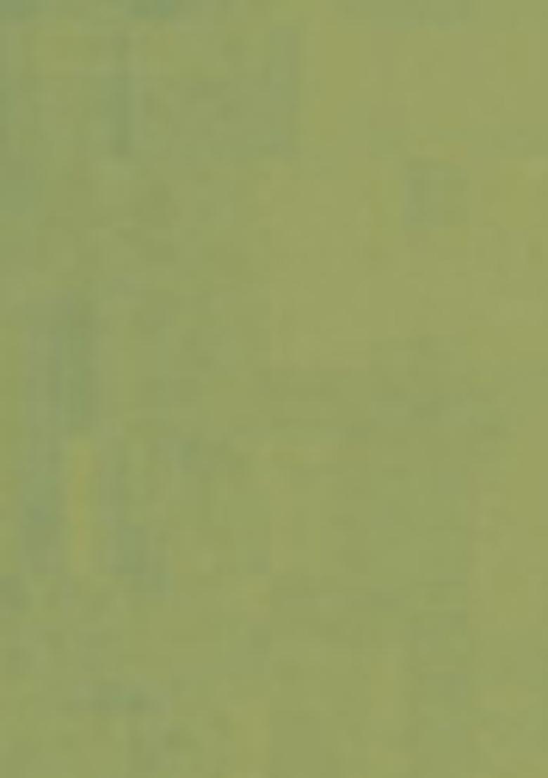 Green Embroidered Organza Saree Set