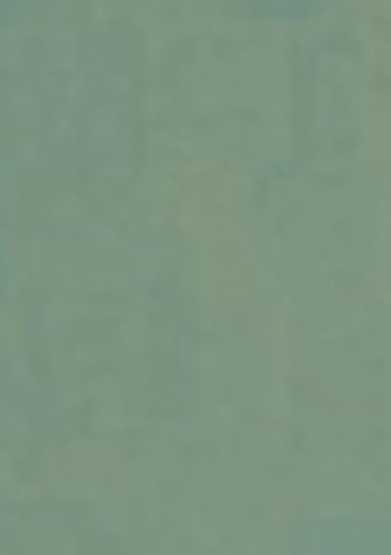 Grey Embroidered Organza Saree Set