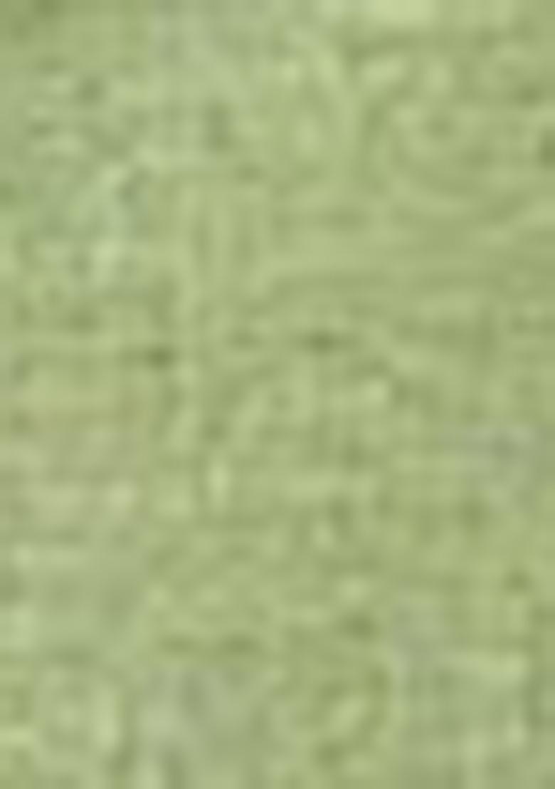 Green Zari Woven Cotton Saree Set