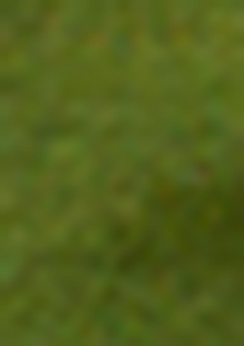 Green Zari Woven Silk Saree Set