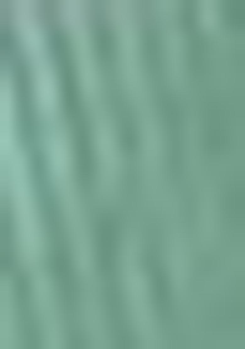 Sea Green Sequin Work Net Saree Set