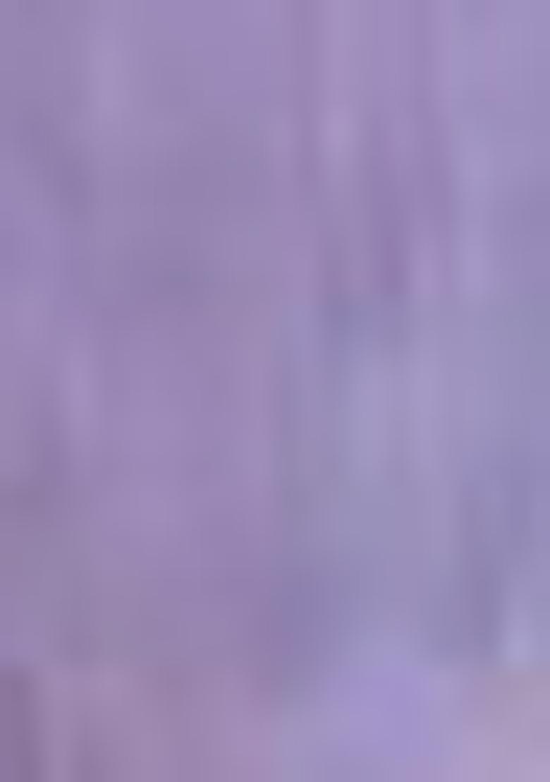 Purple Sequin Work Net Saree Set