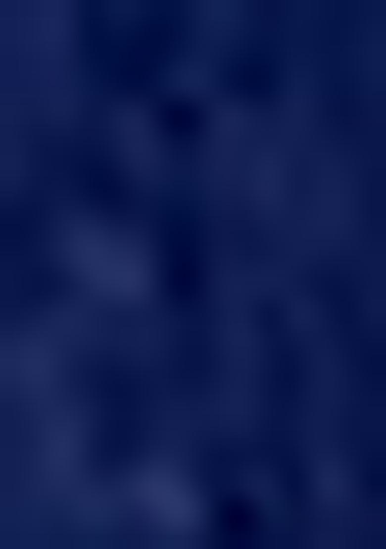 Blue Embroidered Net Saree Set