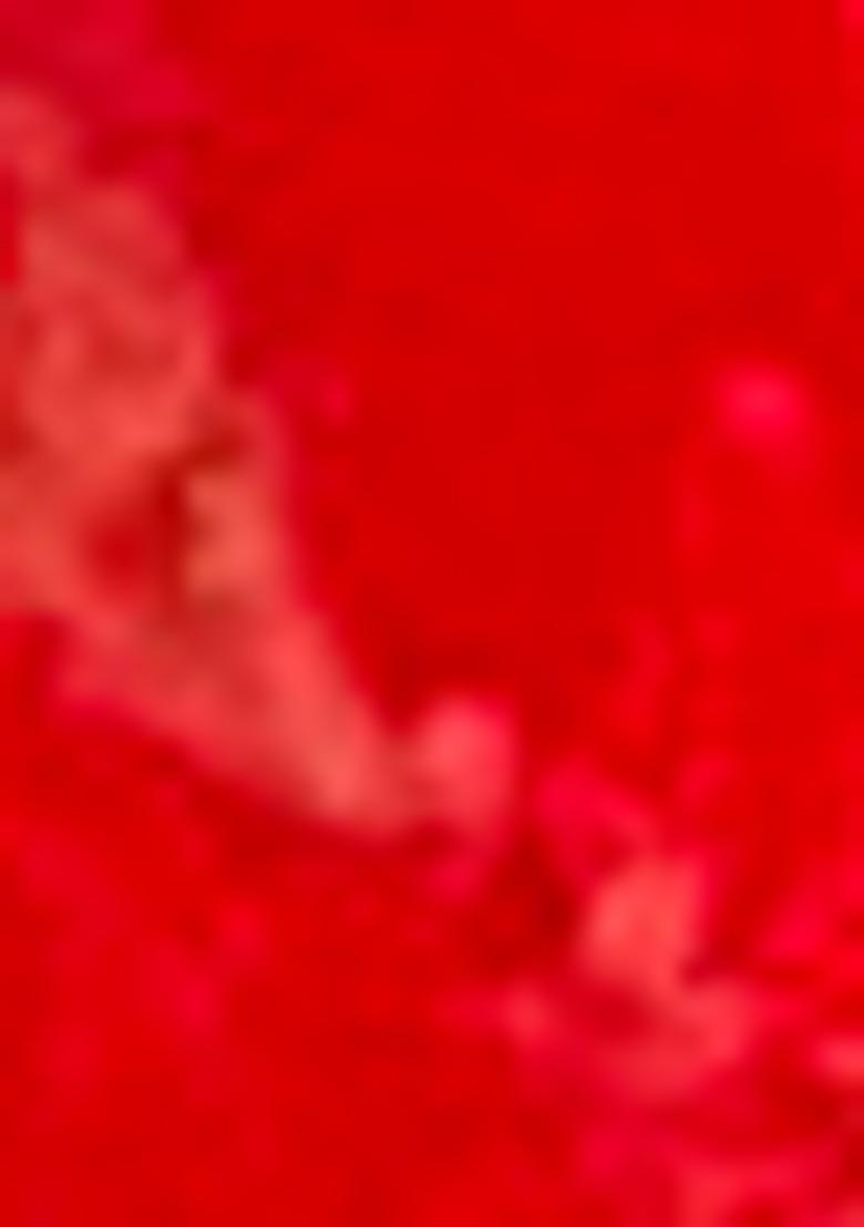 Red Embroidered Net Saree Set