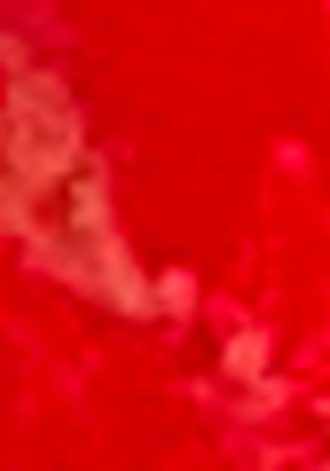 Red Embroidered Net Saree Set