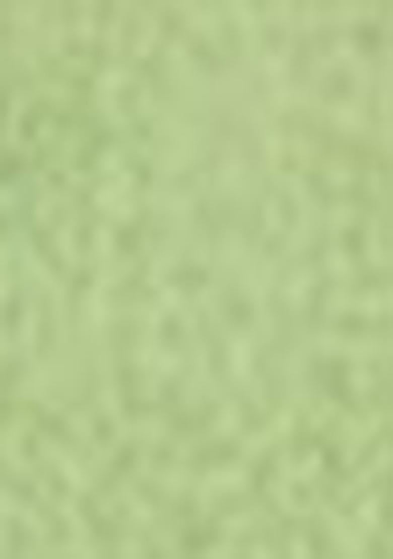 Green Zari Woven Cotton Saree Set