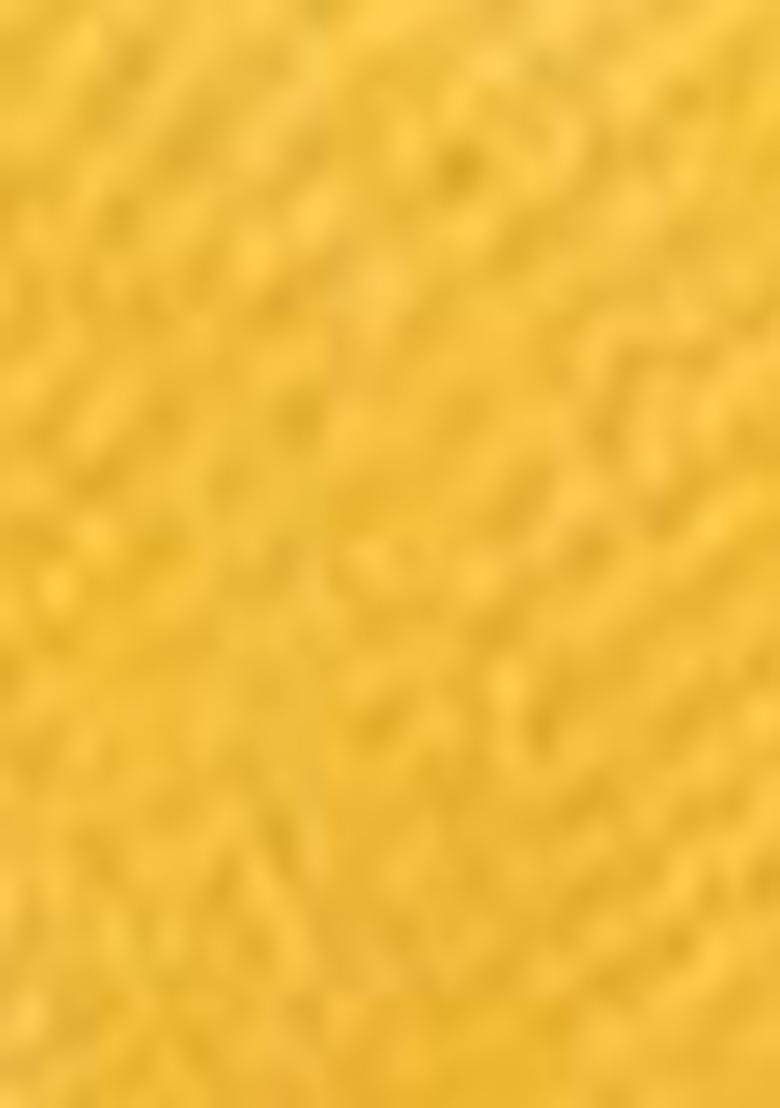 Yellow Zari Woven Cotton Saree Set