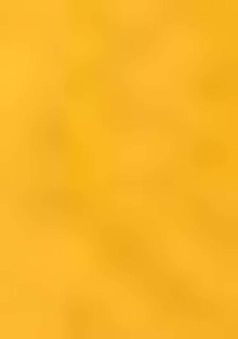 Yellow Zari Woven Cotton Saree Set