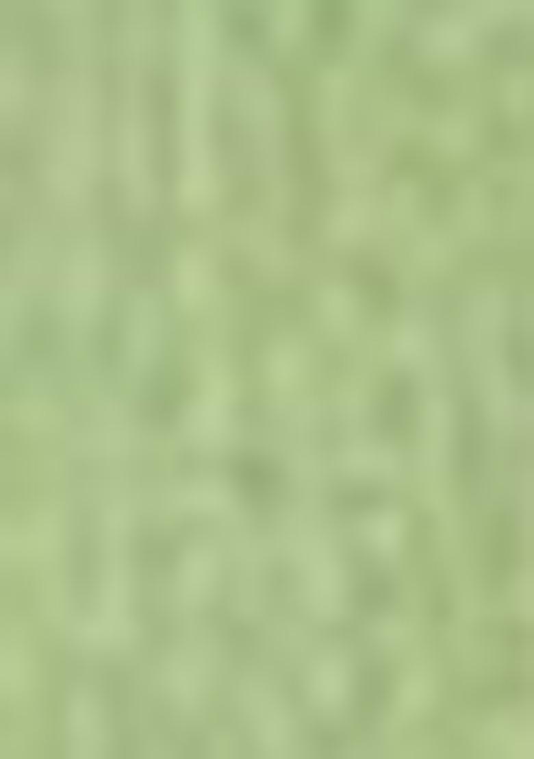 Green Zari Woven Cotton Saree Set