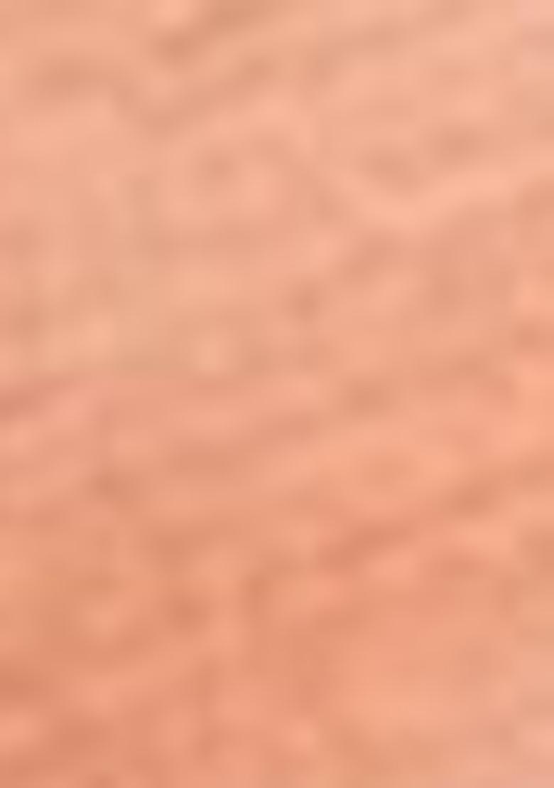 Peach Zari Woven Cotton Saree Set