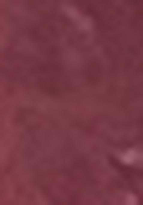 Wine Abstract Print Silk Saree Set