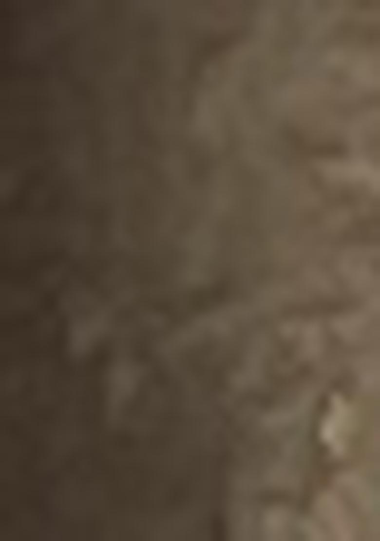 Green Abstract Print Silk Saree Set