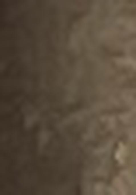 Green Abstract Print Silk Saree Set