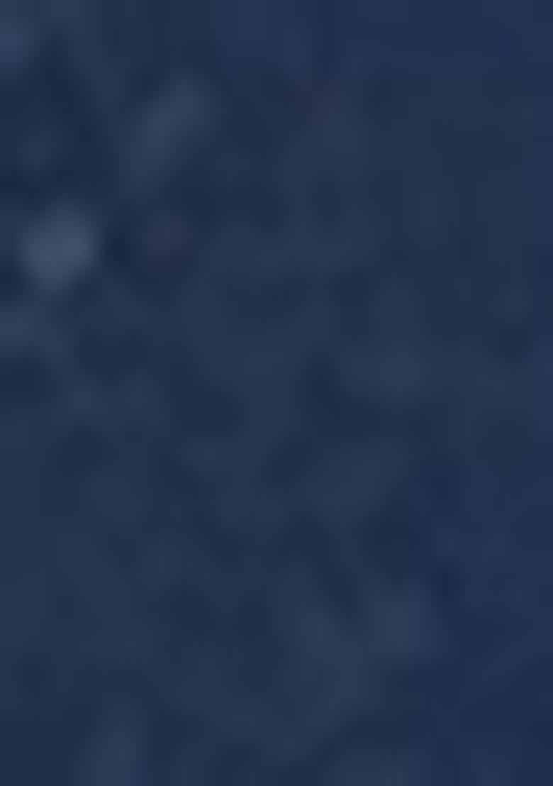 Blue Abstract Print Silk Saree Set