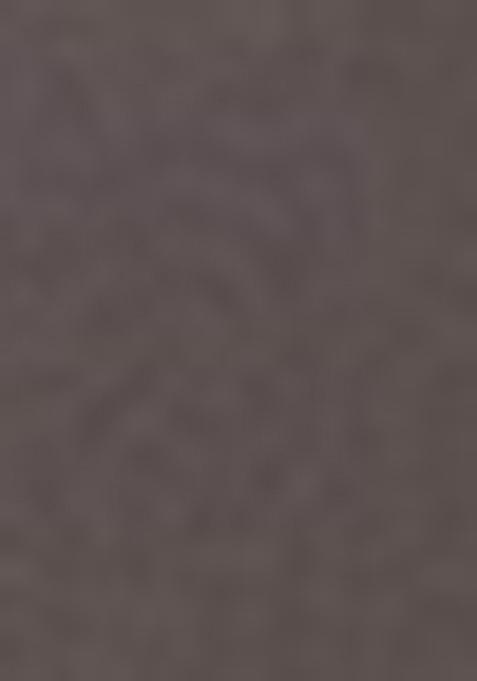 Brown Abstract Print Silk Saree Set