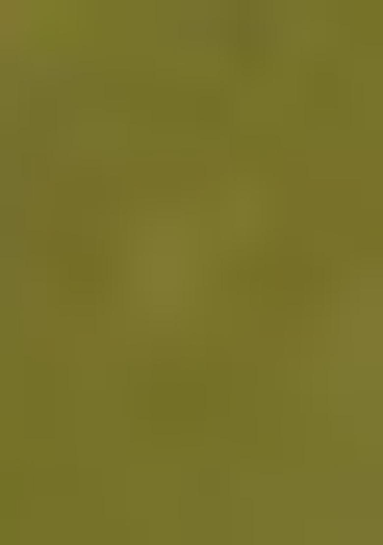 Green Zari Woven Silk Saree Set