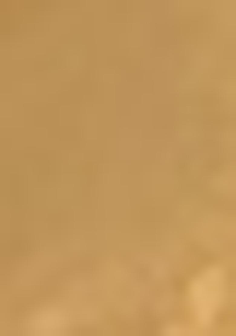 Green Zari Woven Silk Saree Set