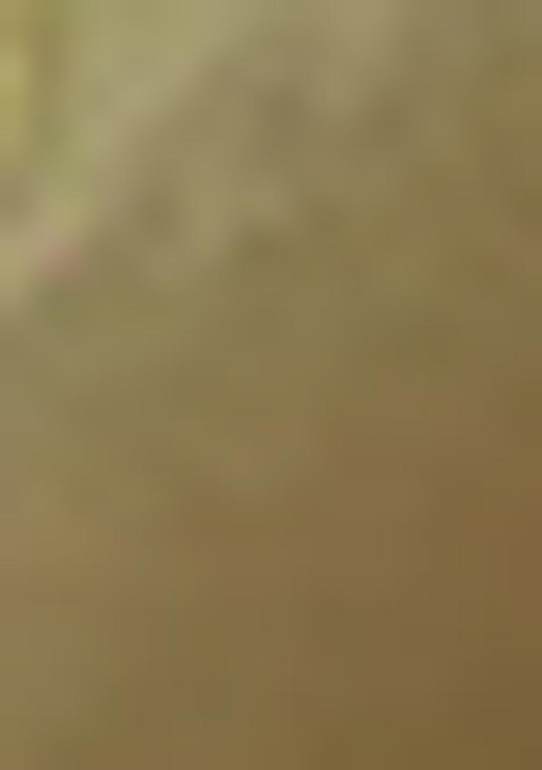 Blue Zari Woven Silk Saree Set