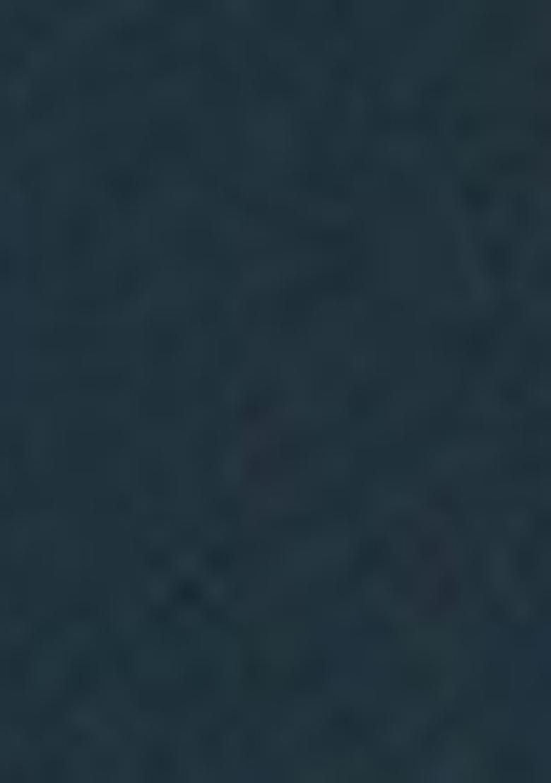 Teal Sequin Work Georgette Saree Set