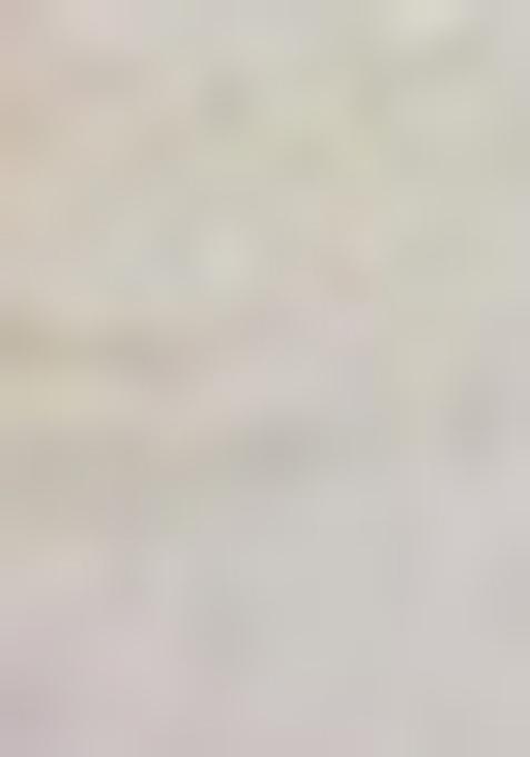 Off White Abstract Print Chiffon Saree Set