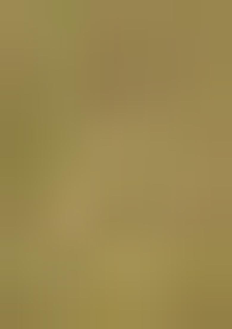 Green Abstract Print Cotton Saree Set