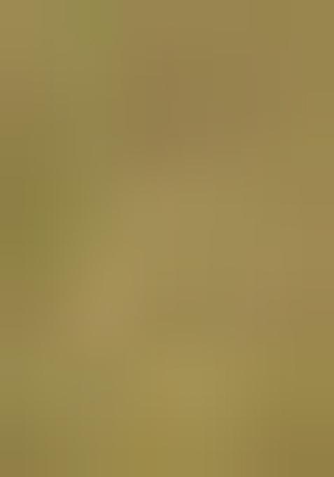 Green Abstract Print Cotton Saree Set