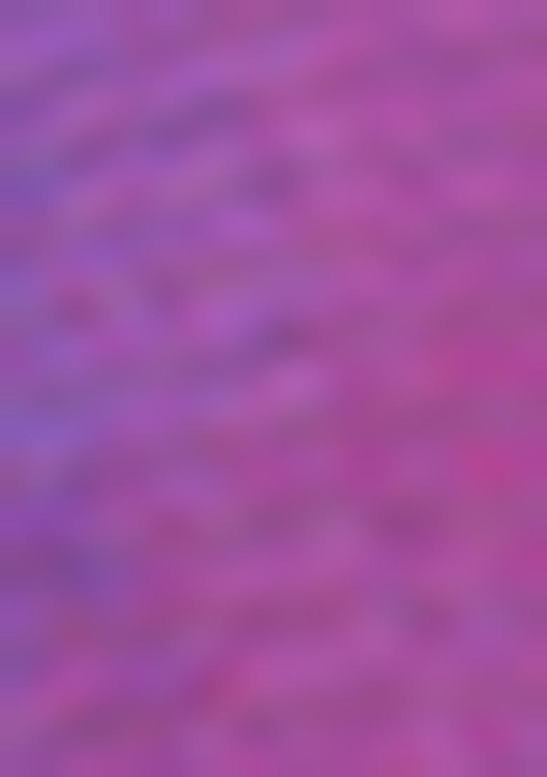 Violet Zari Woven Jacquard Saree Set