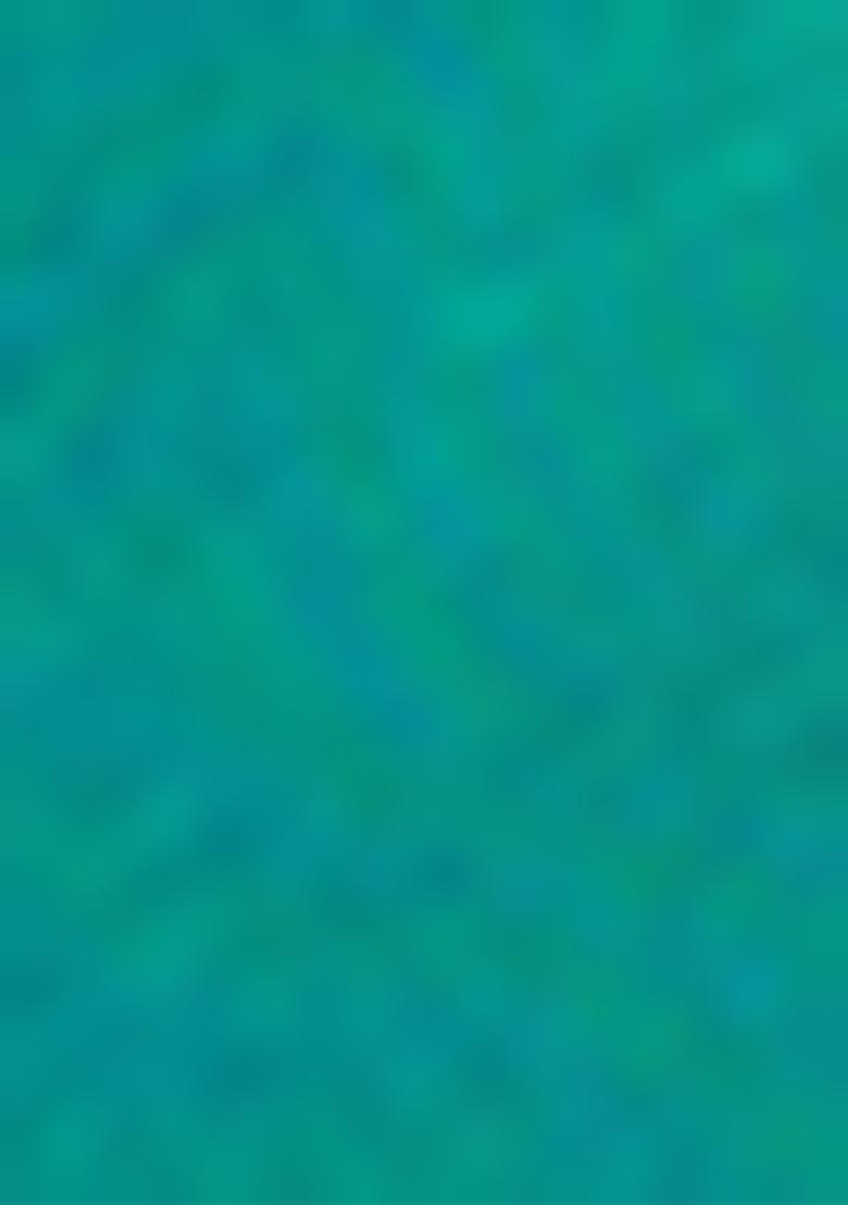 Green Zari Woven Jacquard Saree Set