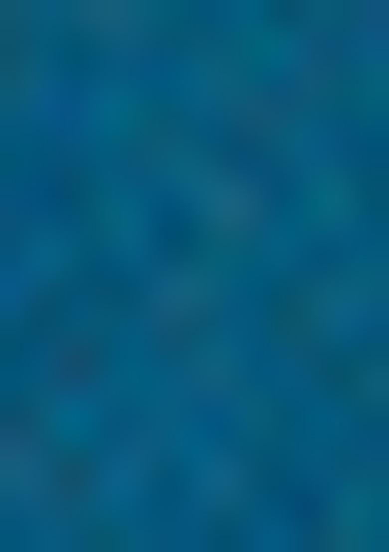 Blue Zari Woven Jacquard Saree Set