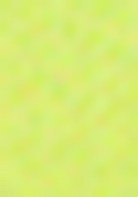 Lemon Zari Woven Jacquard Saree Set