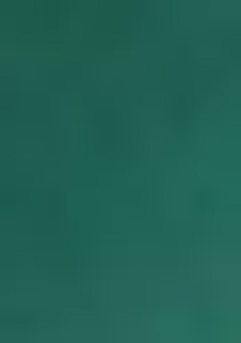 Sea Green Sequin Work Georgette Saree Set