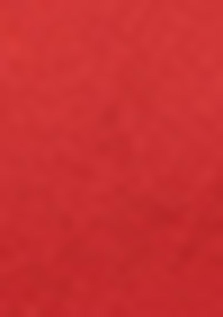 Red Zari Woven Georgette Saree Set