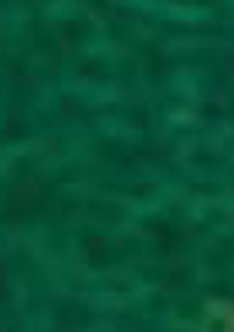 Green Printed Georgette Saree Set