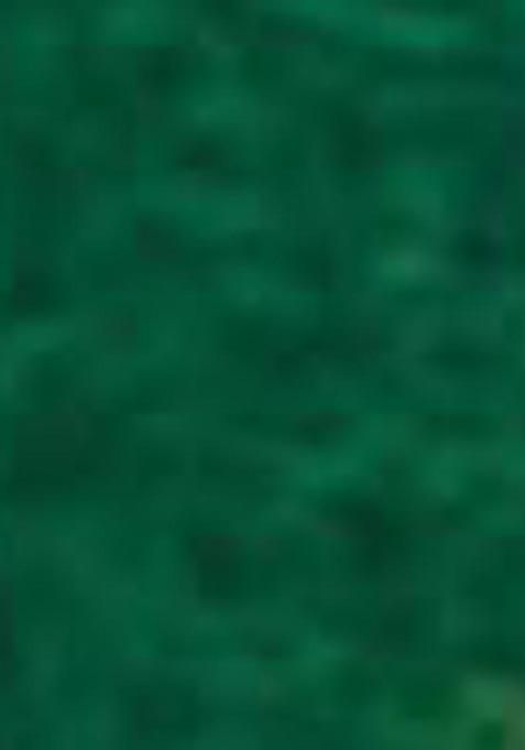 Green Printed Georgette Saree Set